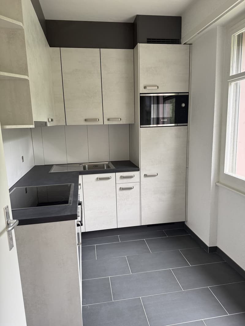 Near Chuv studio spacious with modern and renovated kitchen!!! (3)