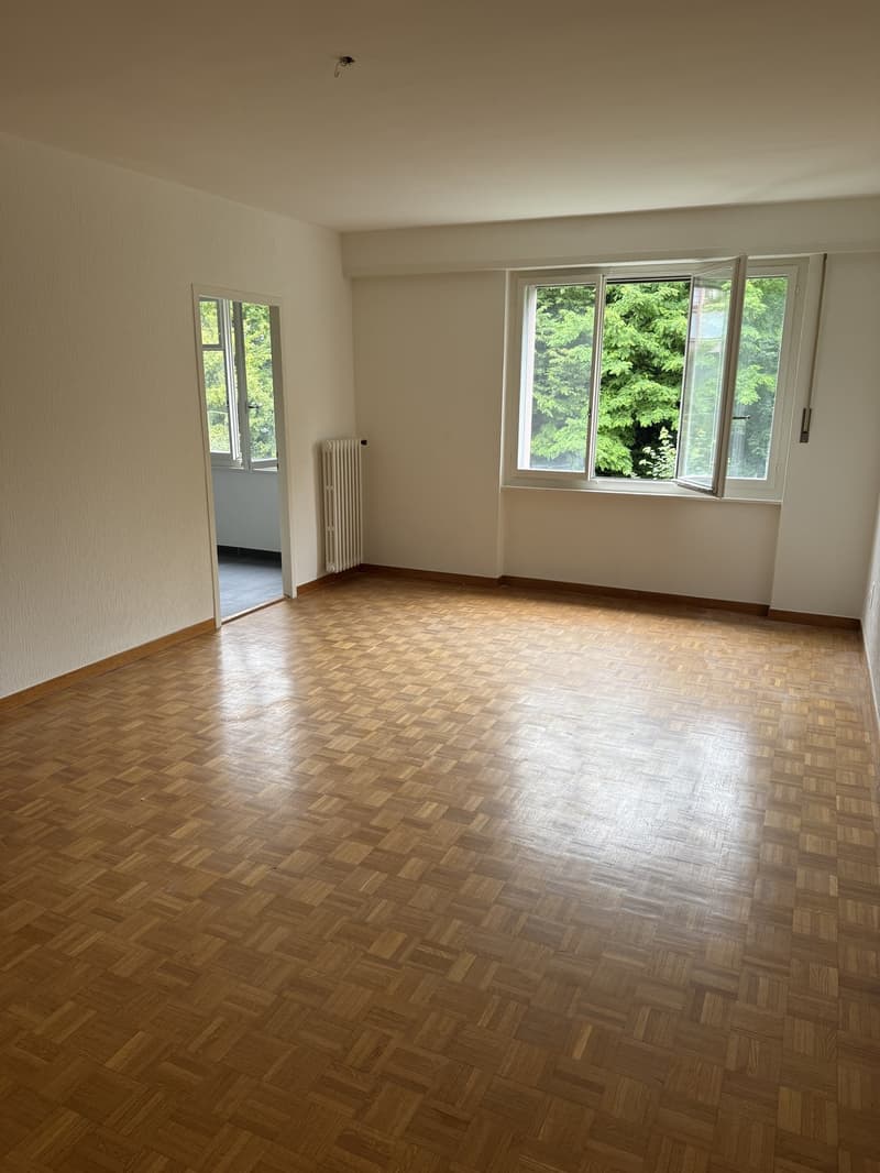 Near Chuv studio spacious with modern and renovated kitchen!!! (5)