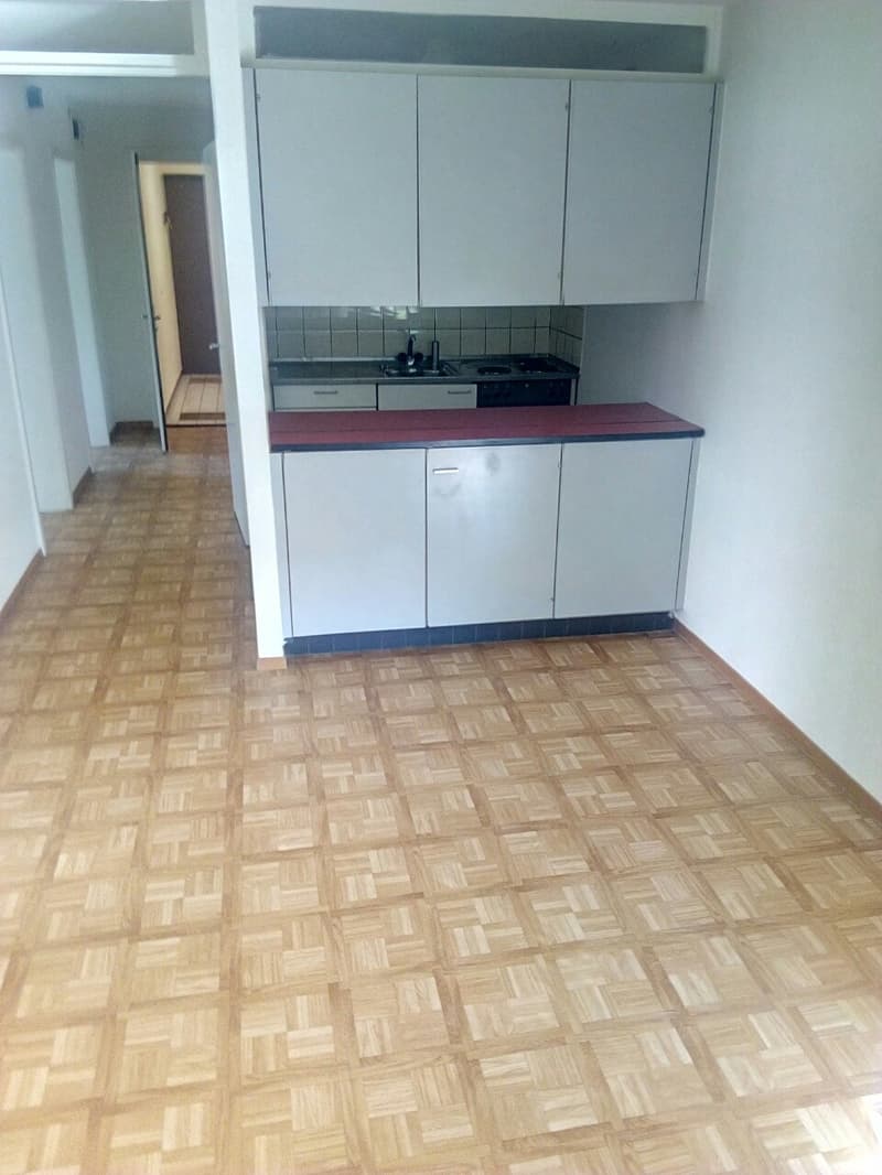 La tua nuova casa nel centro di Mellingen (3)