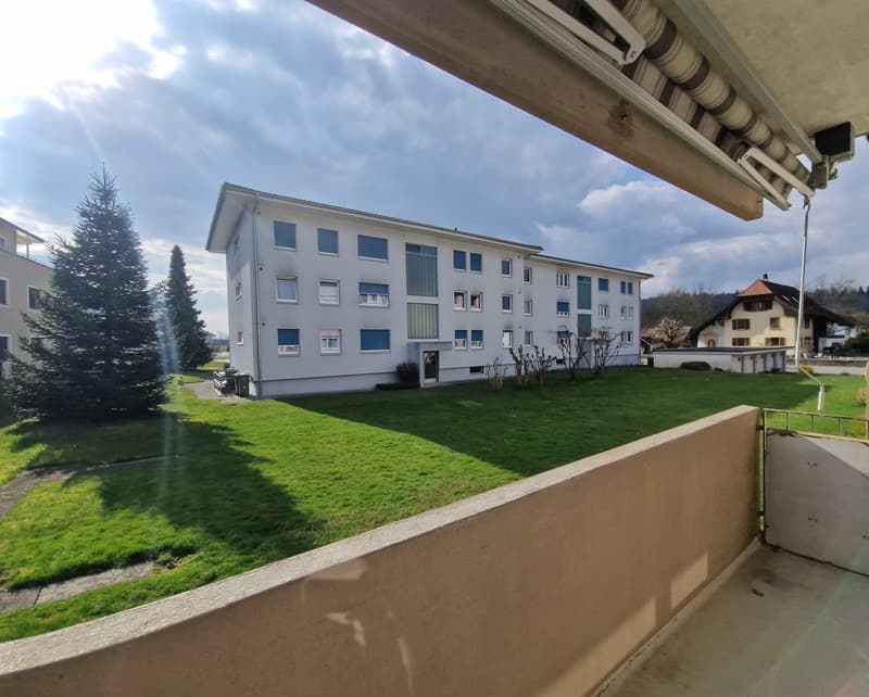 Appartamento 4.5 locali luminoso con balcone & parcheggio in una zona tranquilla e verde (1)