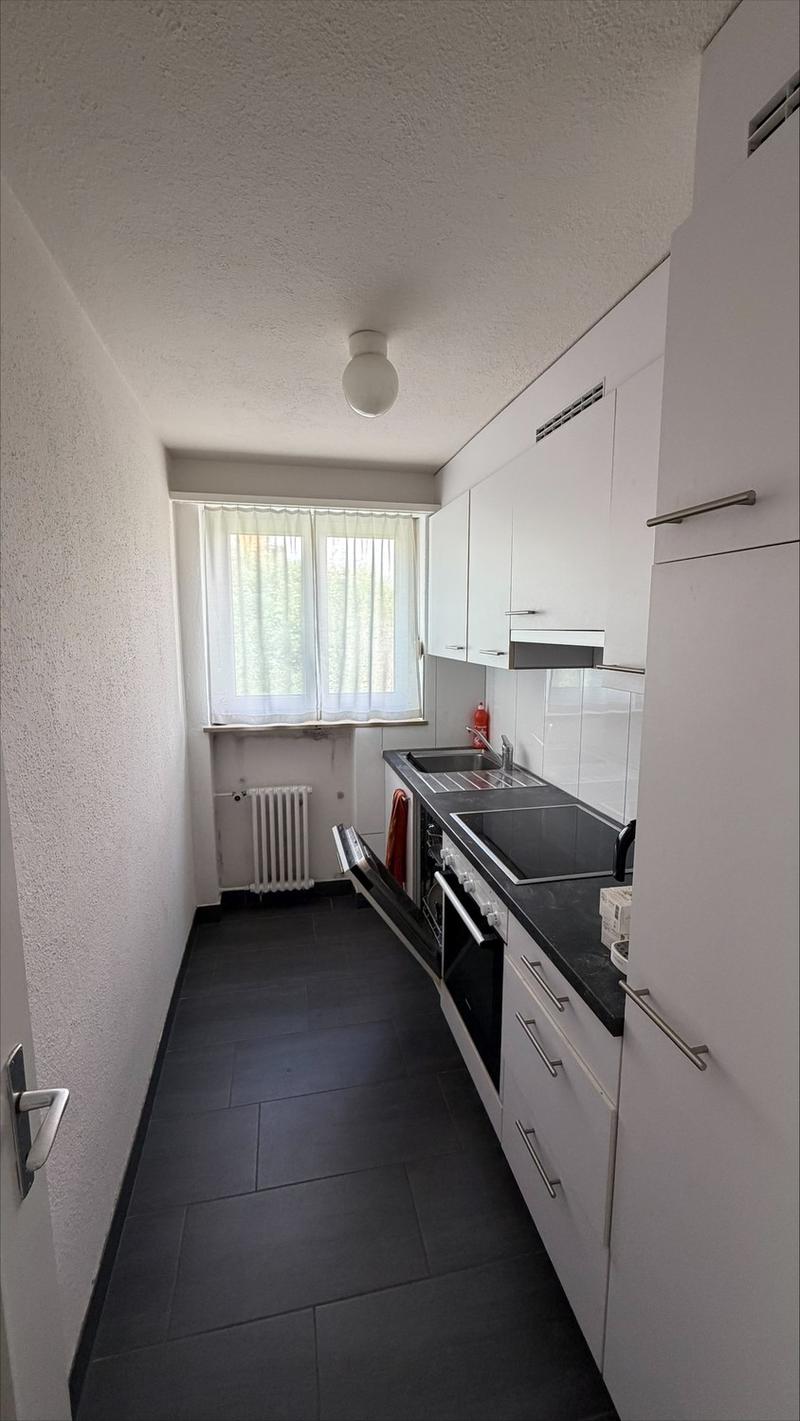 Up-To-Date Single Apartment (3)