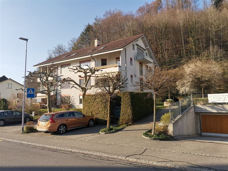 Grosszügige helle Wohnung mit Balkon - zentral & im Grünen gelegen (1)