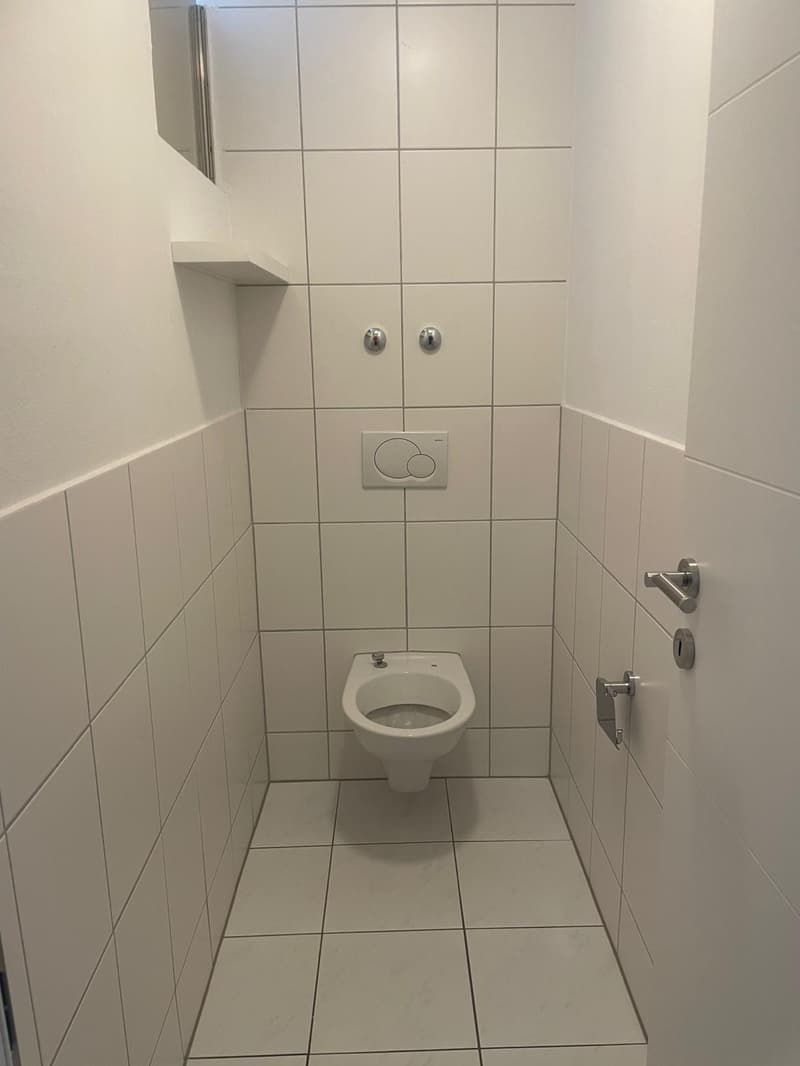 Bright and freshly renovated 4-room apartment with balcony and plenty of space (9)