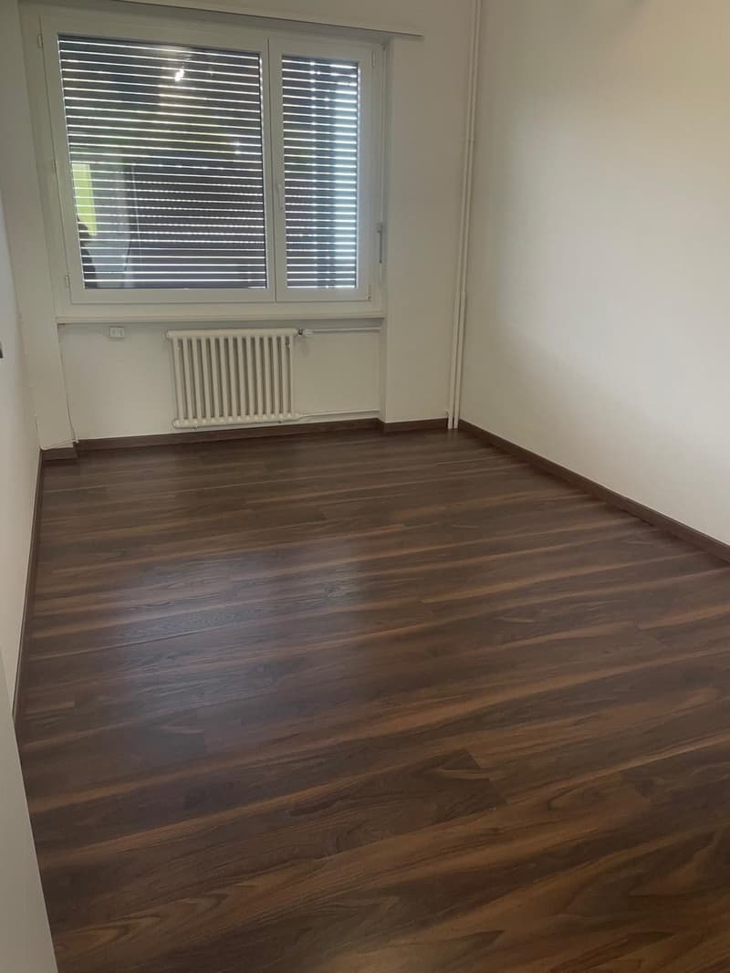 Bright and freshly renovated 4-room apartment with balcony and plenty of space (6)