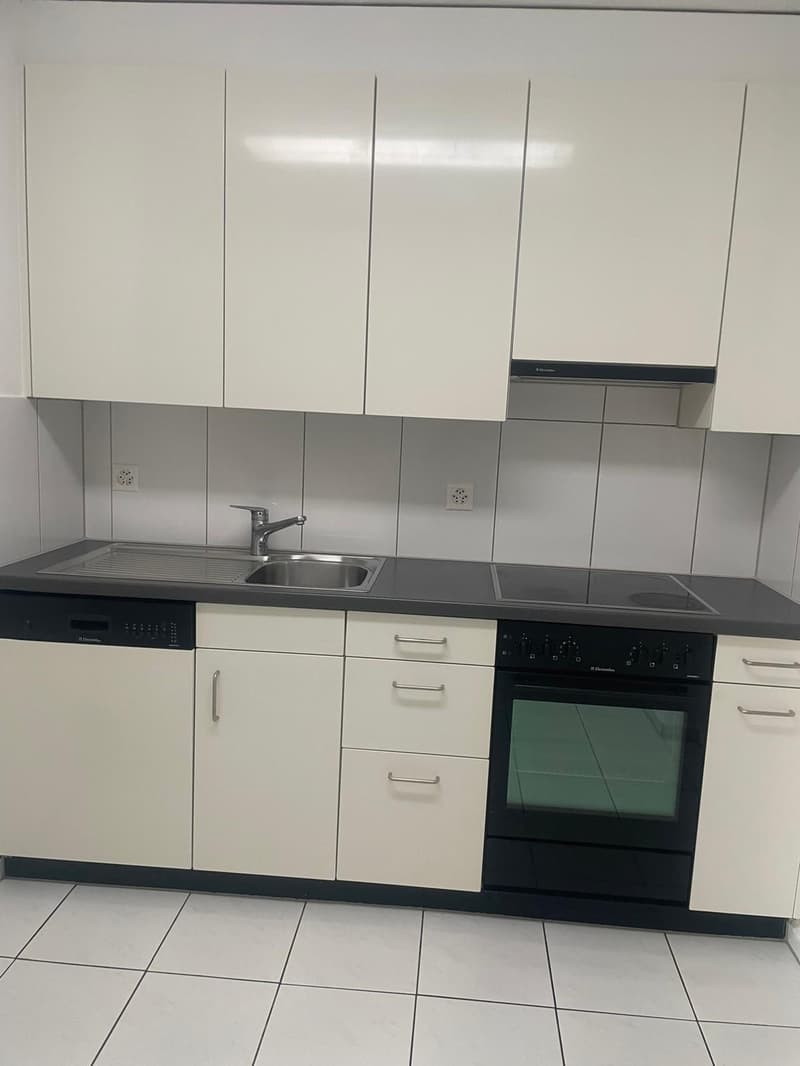 Bright and freshly renovated 4-room apartment with balcony and plenty of space (7)
