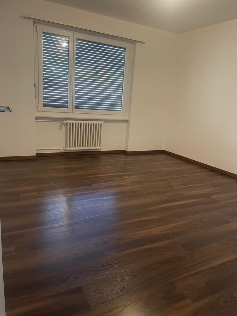 Bright and freshly renovated 4-room apartment with balcony and plenty of space (4)