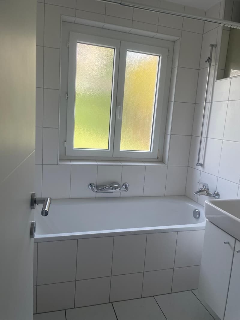 Bright and freshly renovated 4-room apartment with balcony and plenty of space (8)