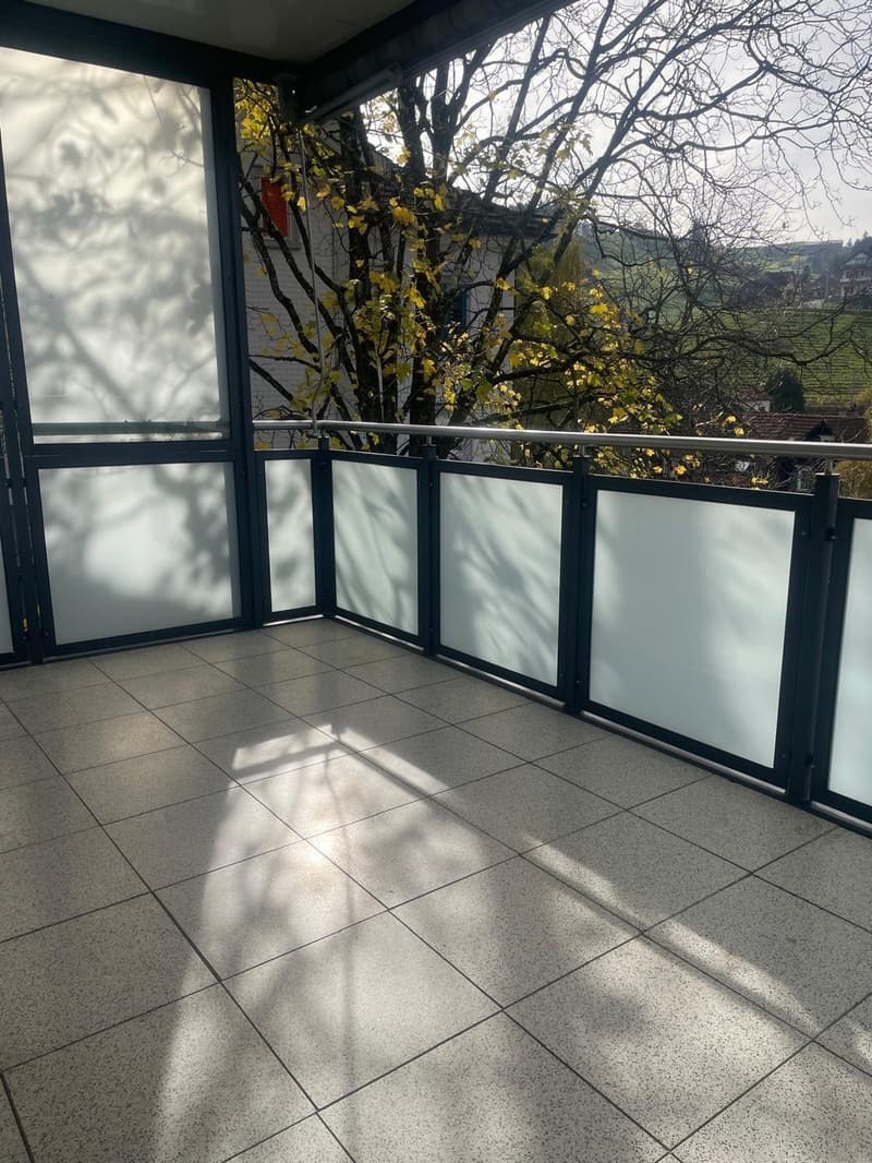 Bright and freshly renovated 4-room apartment with balcony and plenty of space (11)