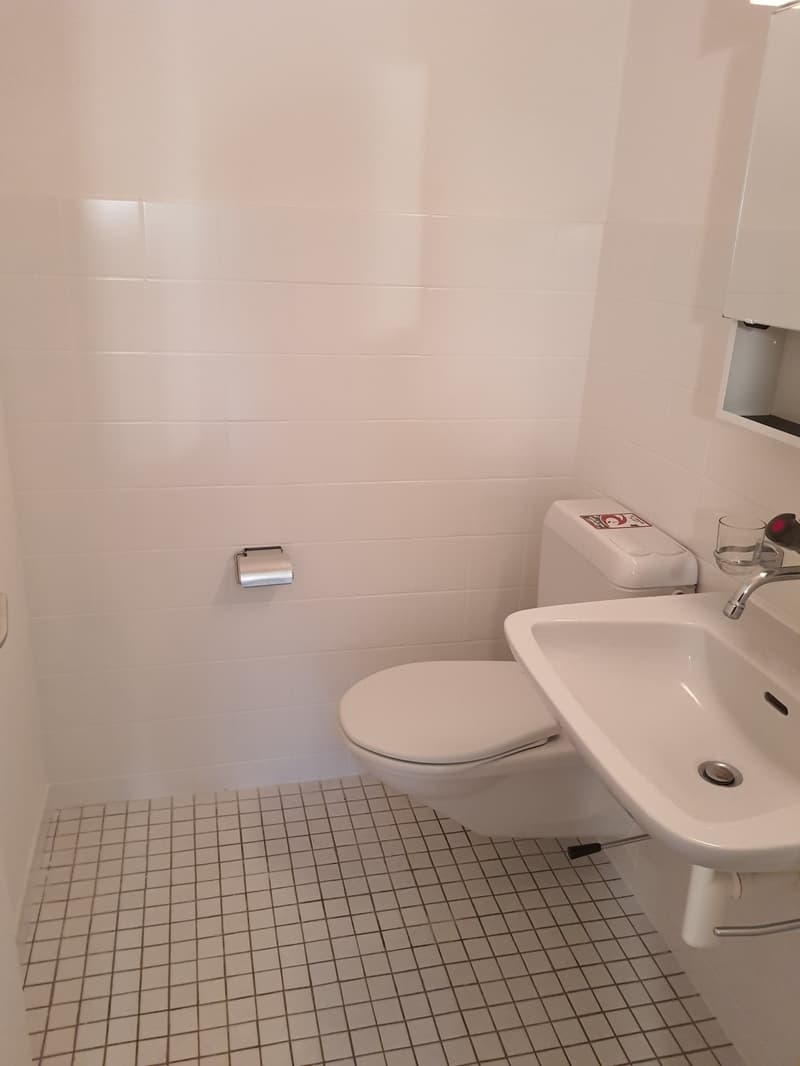 Offerta superba! Cucina rinnovata e vista meravigliosa! (7)