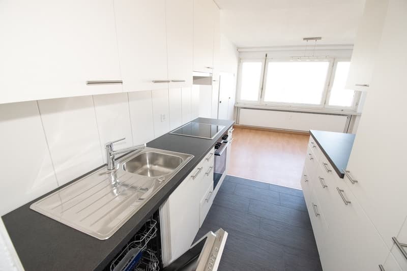 Offerta superba! Cucina rinnovata e vista meravigliosa! (4)