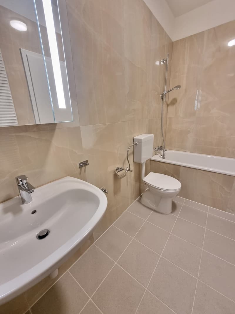 Your new home in Beinwil am See, freshly renovated & quietly located! (7)
