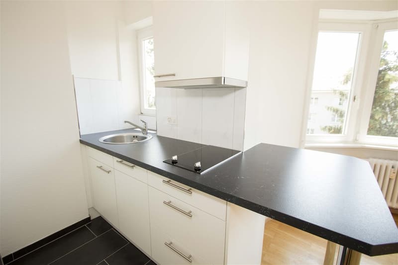 Superbe appartement pour une personne ! (4)