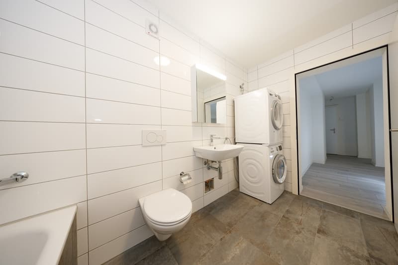 Votre maison de rêve vous attend ! Vaste complexe de construction neuve à louer pour la première fois (6)