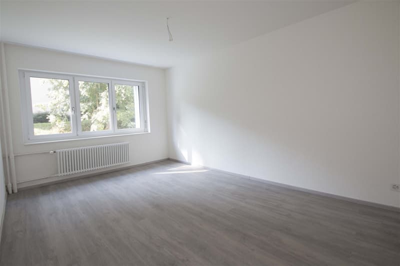 Totally Renovated - Modern Style (6)