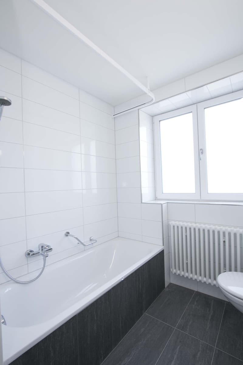 Totally Renovated - Modern Style (4)