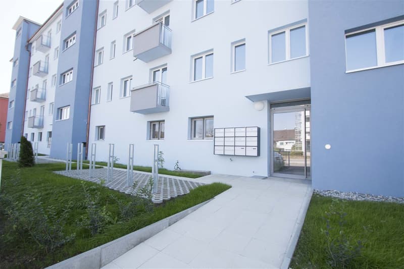 Totally Renovated - Modern Style (1)