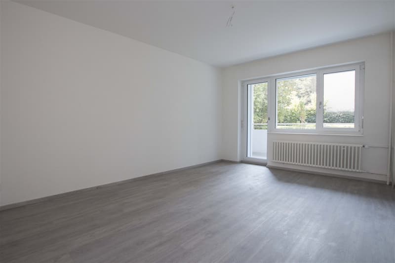 Totally Renovated - Modern Style (5)