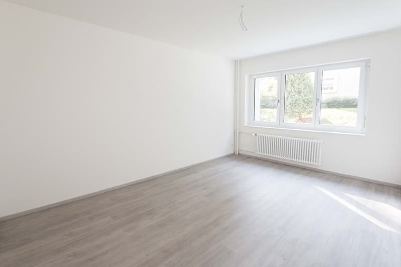Totally Renovated - Modern Style (7)