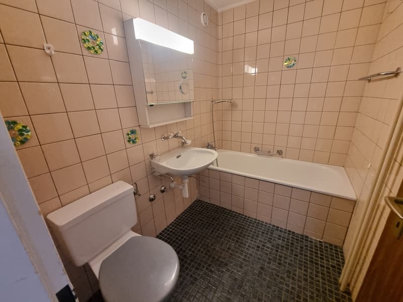Habitation spacieuse (6)