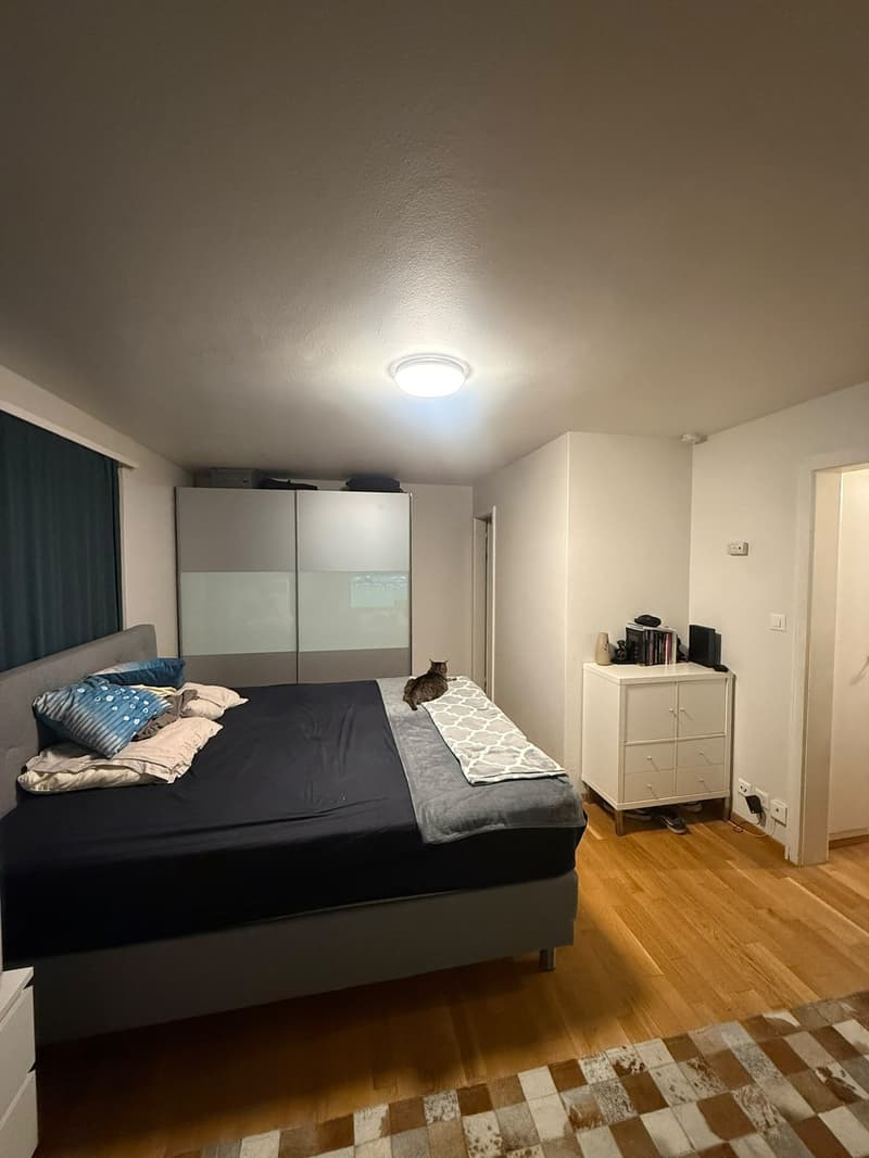 Charmante 1.5-Zimmer Bijou-Wohnung in Dübendorf Im Winkel 7 (6)