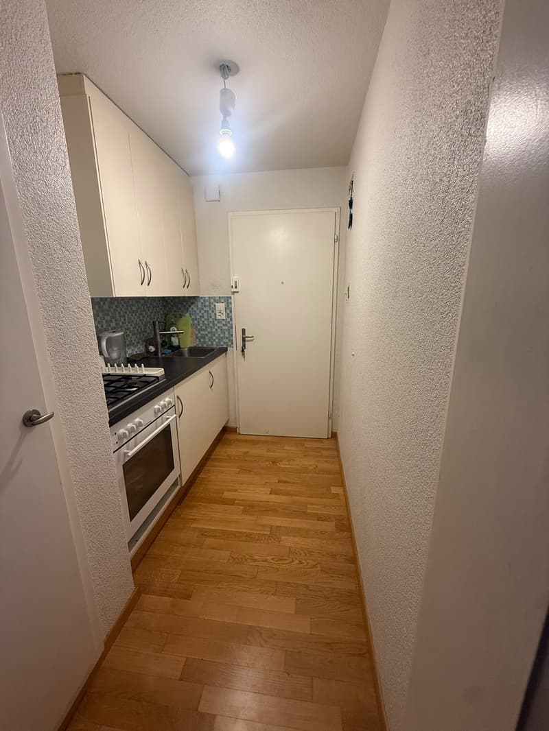 Charmante 1.5-Zimmer Bijou-Wohnung in Dübendorf Im Winkel 7 (4)