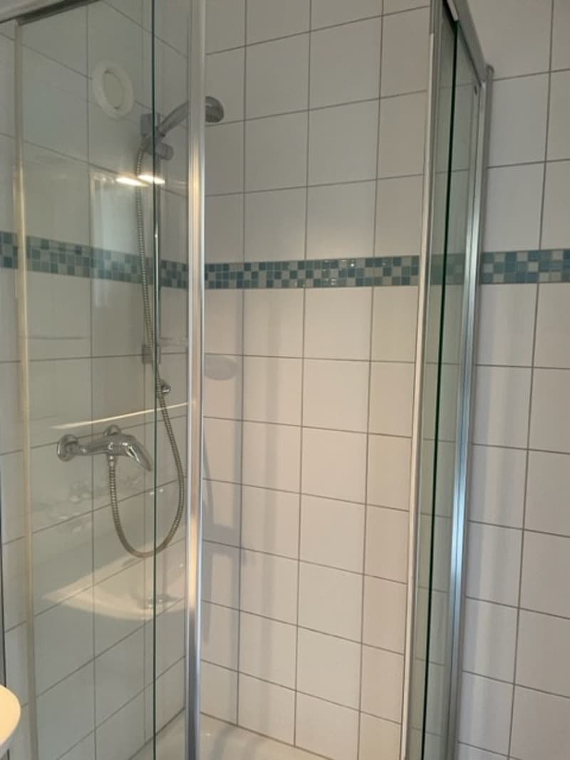 Charmante 1.5-Zimmer Bijou-Wohnung in Dübendorf Im Winkel 7 (13)