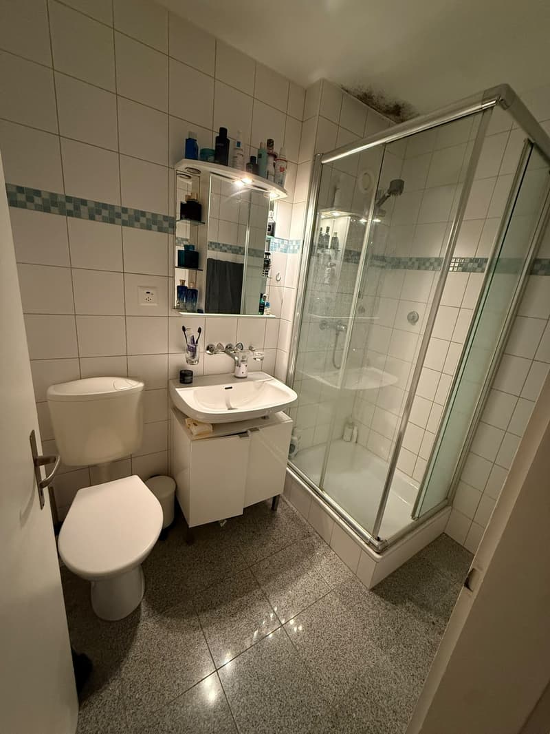 Charmante 1.5-Zimmer Bijou-Wohnung in Dübendorf Im Winkel 7 (10)