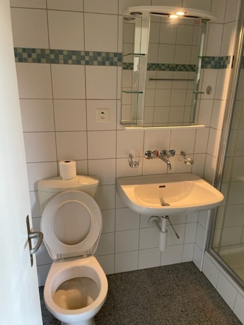 Charmante 1.5-Zimmer Bijou-Wohnung in Dübendorf Im Winkel 7 (11)