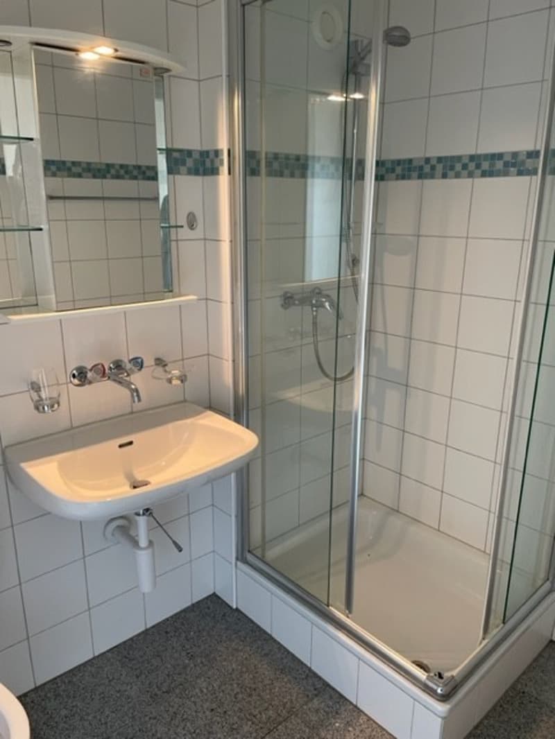 Charmante 1.5-Zimmer Bijou-Wohnung in Dübendorf Im Winkel 7 (12)