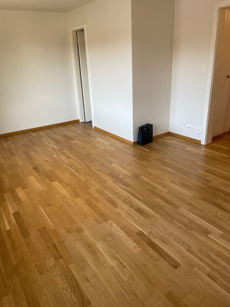 Charmante 1.5-Zimmer Bijou-Wohnung in Dübendorf Im Winkel 7 (5)