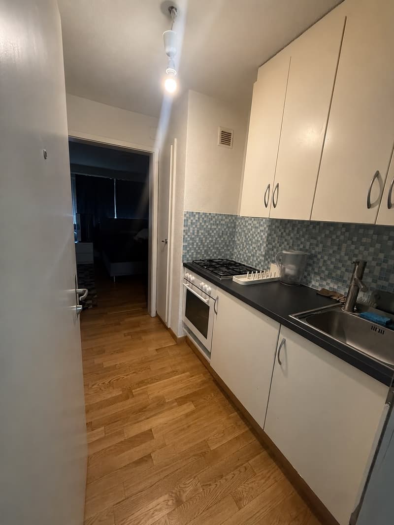 Charmante 1.5-Zimmer Bijou-Wohnung in Dübendorf Im Winkel 7 (3)