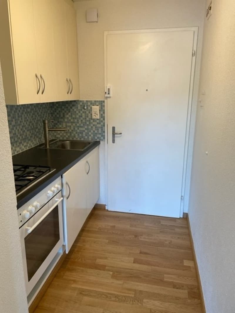 Charmante 1.5-Zimmer Bijou-Wohnung in Dübendorf Im Winkel 7 (2)