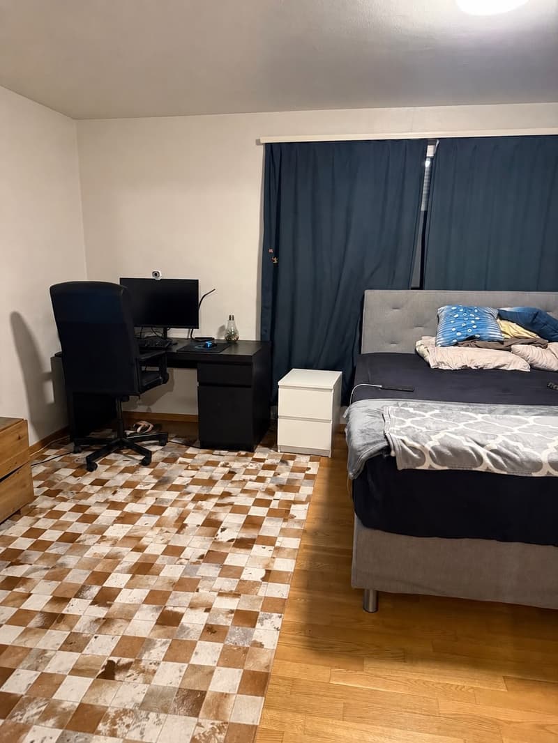 Charmante 1.5-Zimmer Bijou-Wohnung in Dübendorf Im Winkel 7 (9)