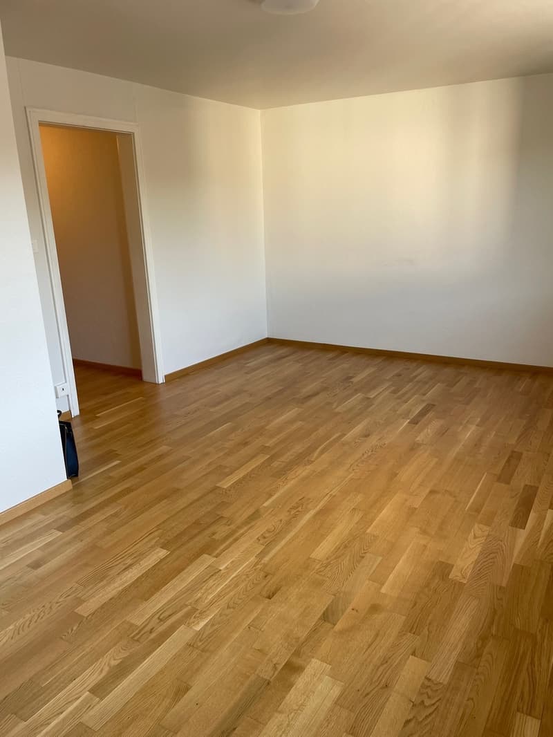 Charmante 1.5-Zimmer Bijou-Wohnung in Dübendorf Im Winkel 7 (8)
