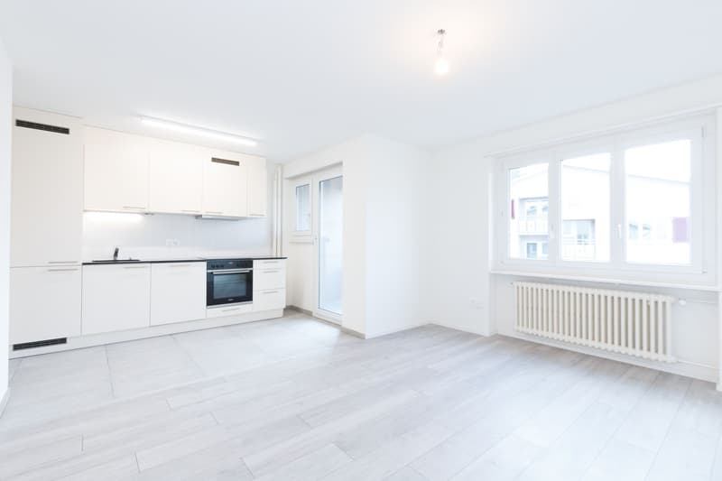 Dream Apartment (1)