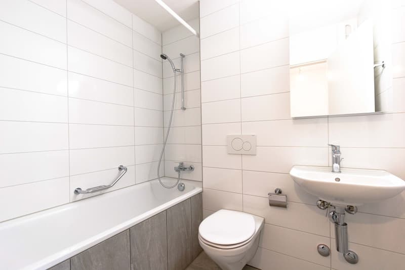 Dream Apartment (3)