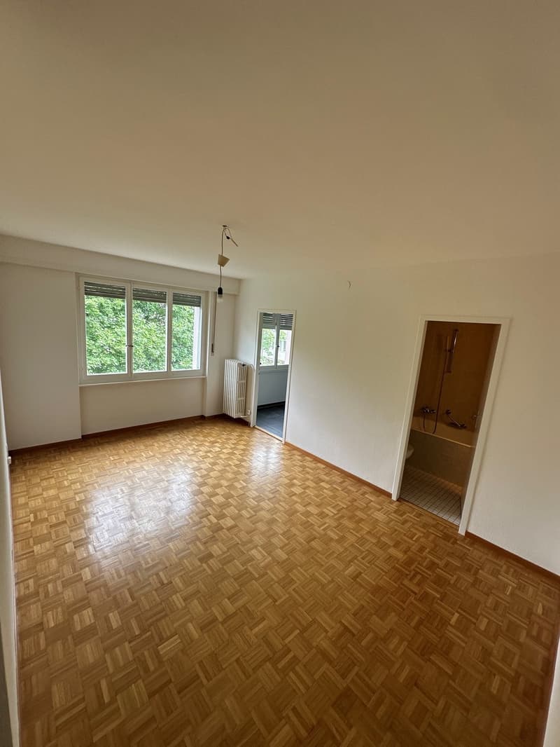 Studio renoviert in der Nähe von Chuv und U-Bahn! Ruhige und grüne Gegend! (3)