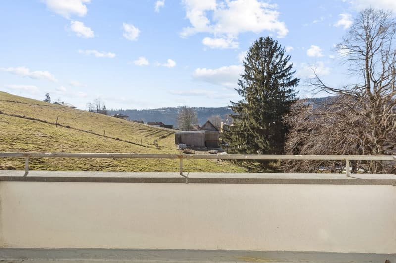 Renovated - balcony - good location (3)
