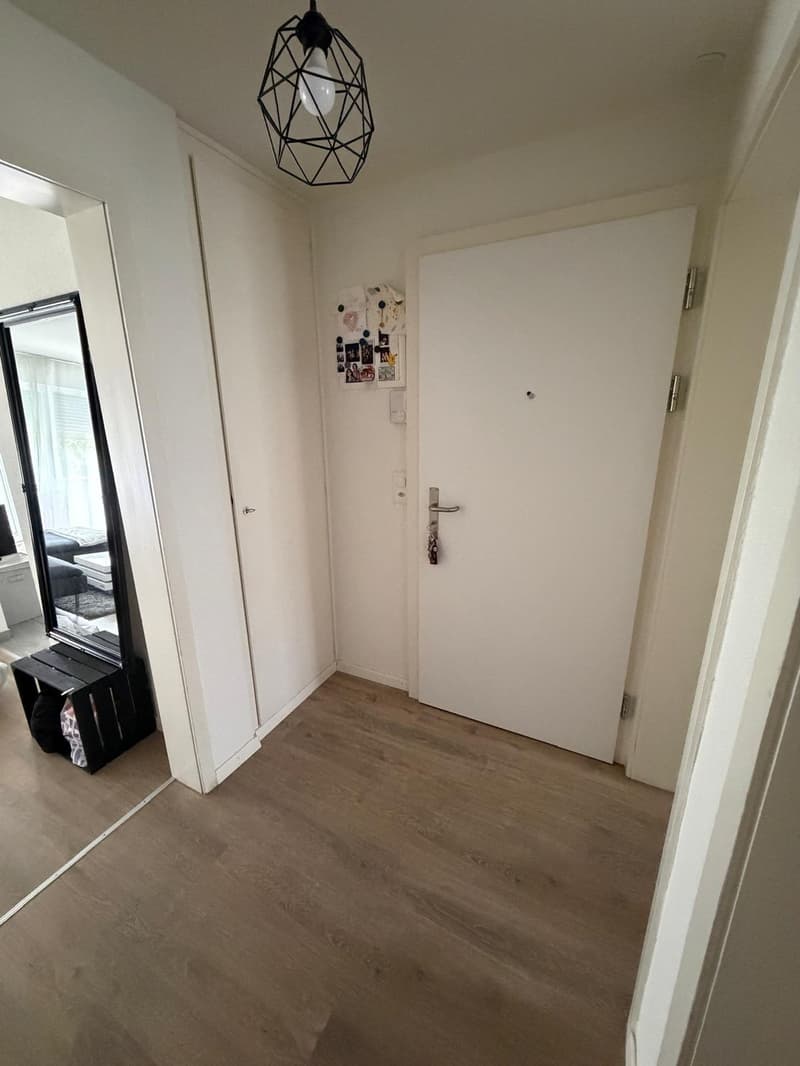 Affascinante appartamento di 3 camere con balcone e uso del giardino Reinach BL (6)