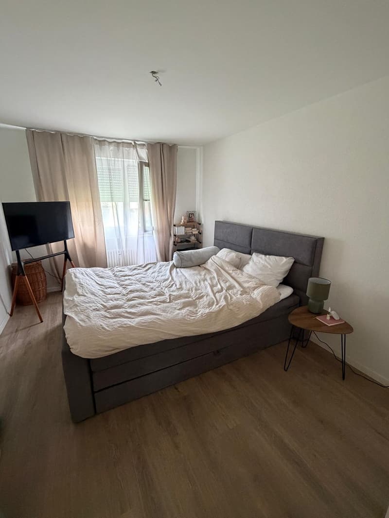 Affascinante appartamento di 3 camere con balcone e uso del giardino Reinach BL (13)