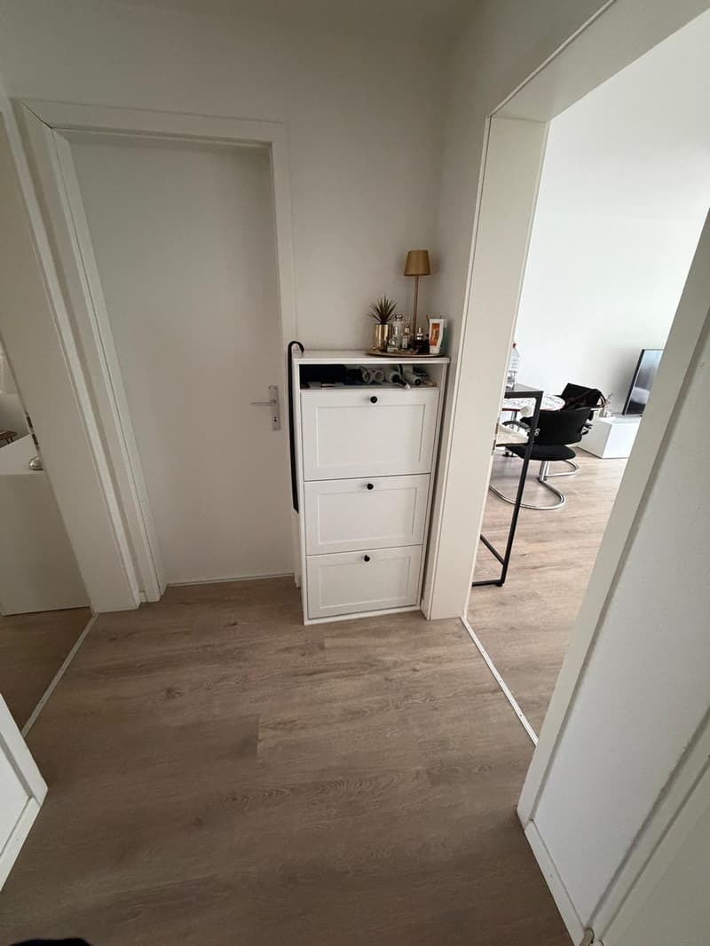 Affascinante appartamento di 3 camere con balcone e uso del giardino Reinach BL (11)