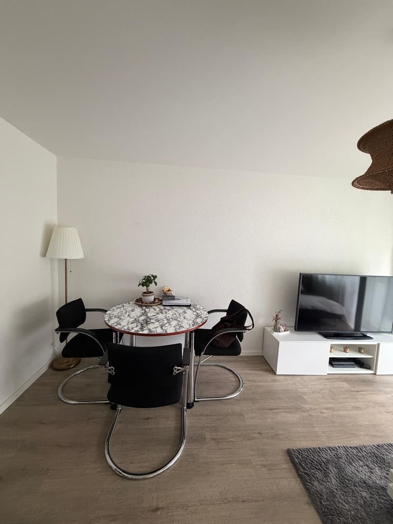 Affascinante appartamento di 3 camere con balcone e uso del giardino Reinach BL (10)