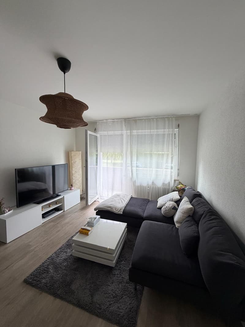 Affascinante appartamento di 3 camere con balcone e uso del giardino Reinach BL (9)