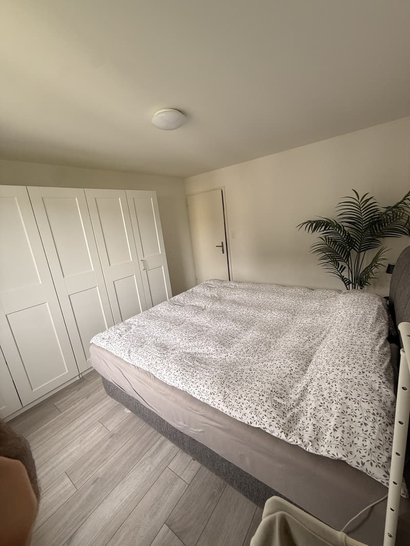 Incantevole appartamento di 3,5 locali - Erlenstrasse 10, 4410-Liestal, Baselland (12)
