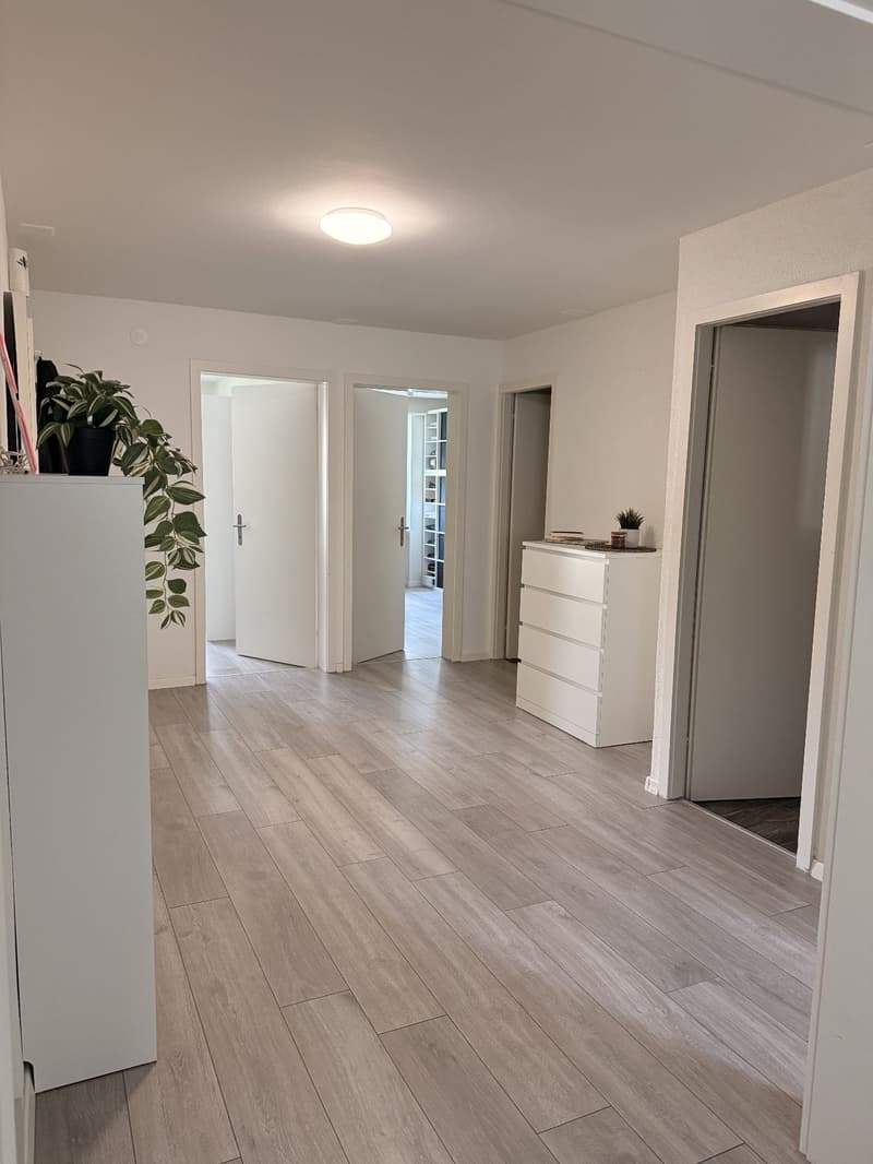 Incantevole appartamento di 3,5 locali - Erlenstrasse 10, 4410-Liestal, Baselland (3)