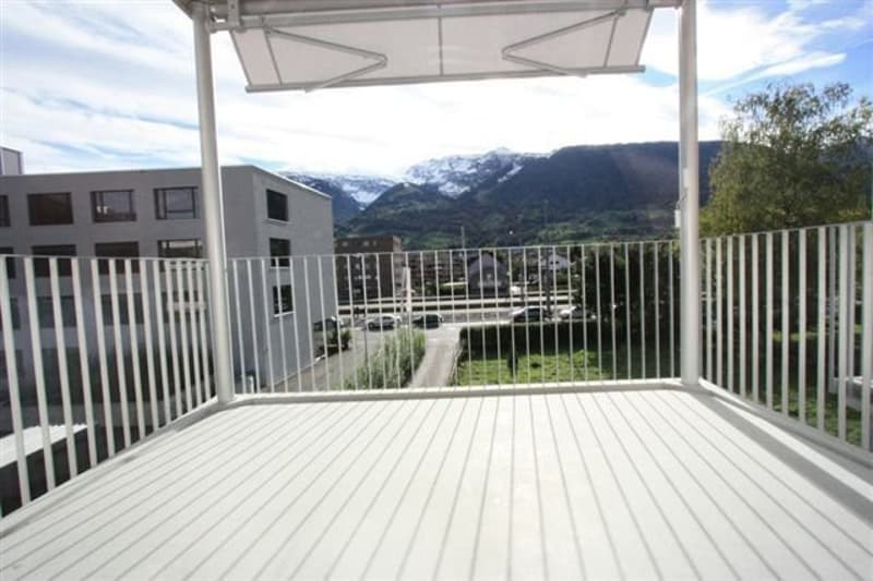 Dream apartment with great terrace and view!! (6)