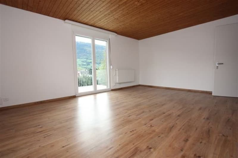 Dream apartment with great terrace and view!! (5)
