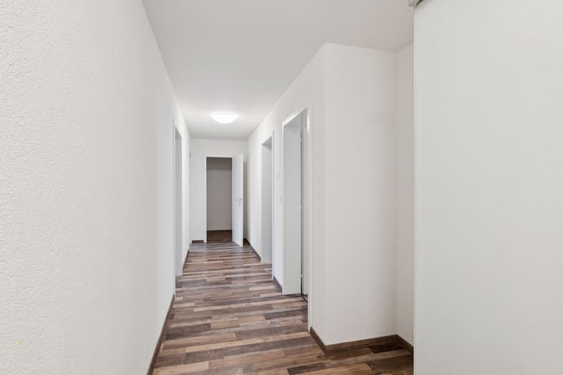 Emménager maintenant - appartement fraîchement rénové calme, vert & central (6)