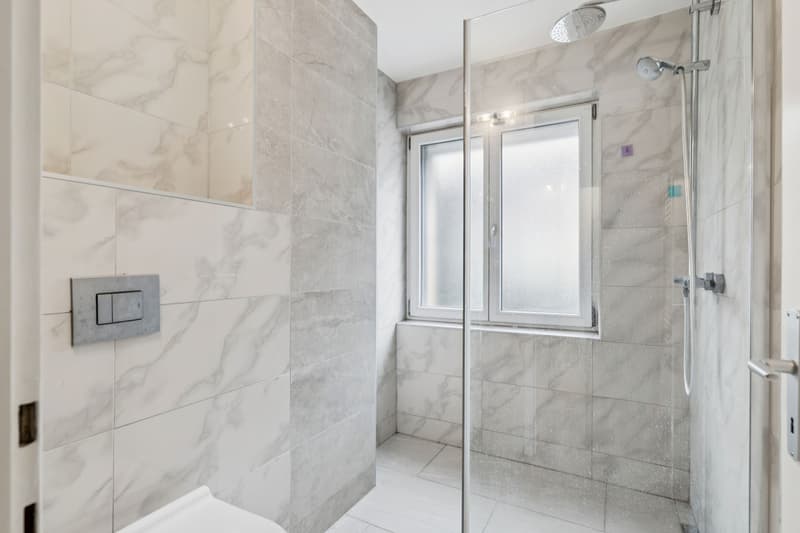 Emménager maintenant - appartement fraîchement rénové calme, vert & central (5)