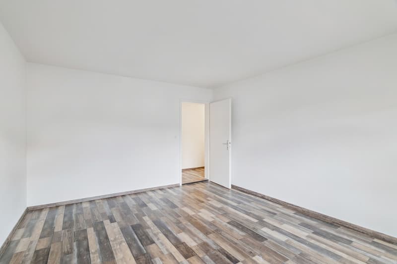 Emménager maintenant - appartement fraîchement rénové calme, vert & central (8)